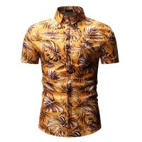uploads/erp/collection/images/Men Clothing/XIANGNIAN/XU0458556/img_b/img_b_XU0458556_3_EHSSa4srjLgYkspYxaOHud3qhESi3wcT